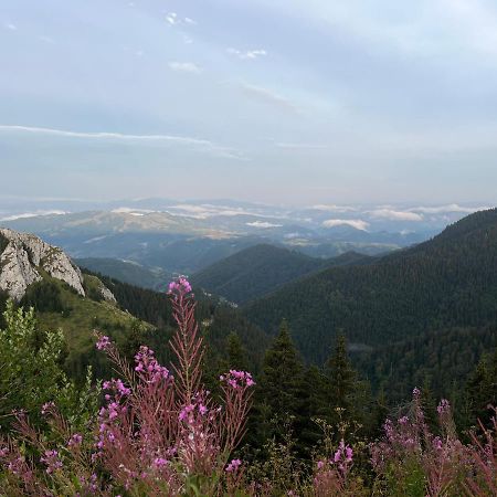 Lux Apartman A18 & Spa Centar Kopaonik Dış mekan fotoğraf