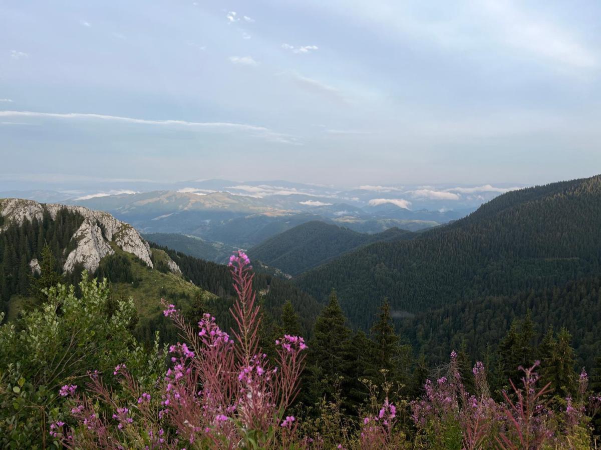 Lux Apartman A18 & Spa Centar Kopaonik Dış mekan fotoğraf